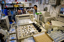 Stathis Papadimitrou and Boris Koch working in chemistry laboratory on board Icebreaker research ship, Polarstern. ISPOL (ICE Station Polarstern) Expedition 2004/2005 from Alfred Wegener Institute, Br...
