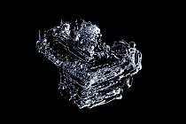 Ice crystal from Weddell Sea, Antarctica