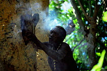 Hadzabe hunter gatherer tribesman smoking out bees to gather honey from tree, Lake Eyasi Basin, Tanzania 2006