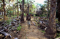 Hadzabe hunter gatherer tribesmen returning to camp, Lake Eyasi Basin, Tanzania 2006