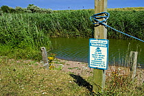 Sign warning of toxic Algal bloom, Slapton Ley NNR National Nature Reserve, Devon, England, 2006.Note - Green water colour.