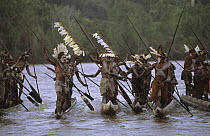 Asmat People during canoe celebration, Western Papuasia, Indonesia (Formerly Irian Jaya) 2002 (West Papua).