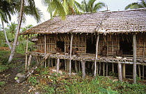 Wood carvers in long house "djus", Asmat People, Western Papuasia, Indonesia (Formerly Irian Jaya) 2002 (West Papua).
