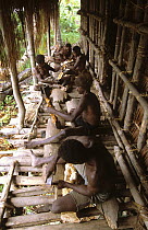 Wood carvers in long house "djus", Asmat People, Western Papuasia, Indonesia (formerly Irian Jaya) 2002 (West Papua).
