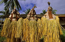 Asmat People dressed up during Mask celebration, Western Papuasia, Indonesia (Formerly Irian Jaya) 2002 (West Papua).