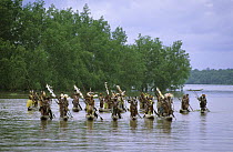 Asmat People during Canoe celebration, Western Papuasia, Indonesia (Formerly Irian Jaya) 2002 (West Papua).