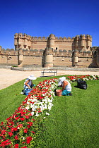 Gardeners tending the flower beds at Castillio de los fonseca, Coca, Segovia, Spain.