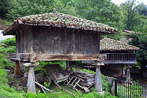 Traditional granaries 'horreos' raised off the ground, San Martin de Proaza, Asturias, Spain.