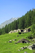Shepherd and sheep houses in the Italian Alps, Gran Paradiso NP, Valsavarenche, Alps, Italy