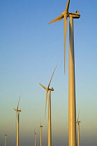 Wind farm turbines, Los Monegros, Spain