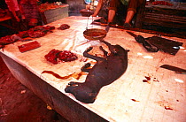 Slaughtered domestic dog {Canis familiaris} for sale at food market, Sulawesi, Indonesia