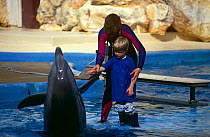 Bottlenose dolphin {Tursiops truncatus} 'shaking hands' with child, marine aquarium, captive, USA, FOR EDITORIAL USE ONLY