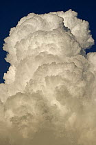 Cumulonimbus Clouds, Arizona, USA