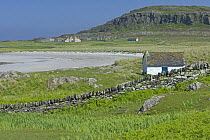 Old kelper's cottage, beach and Priory in distance, Isle of Oronsay, Scotland UK. June 2006