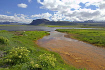 Brackish lagoon near port of Rif, west Iceland. July 2006