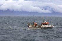 Icelandic long line fishing vessel at sea, north coast of Iceland. July 2006