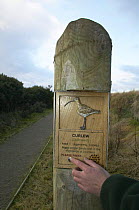Visitor to Nigg Bay RSPB reserve pressing Curlew interpretation panel on way to hide, Nigg Bay, Inverness-shire, Highlands, Scotland. 2006