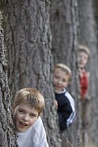 Three boys playing in forest, Cairngorms National Park, Scotland, UK 2006 Model released.
