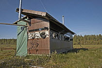 Hide used for bear watching / photography, Kuhmo, Finland. 2006