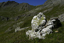 A large boulder of quartz, Queyras National Park, France