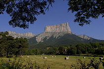 Distant view of Mont Aiguille, Chichiliane, Parc naturel régional du Vercors, Alps, France