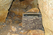 Nestbox used in study of Cory's shearwater (Calonectris diomedea) Pomègues isle, Frioul archipelago, Marseille, France