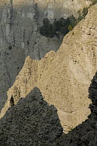 Aiguille pass, Chichiliane, Parc naturel régional du Vercors, Alps, France
