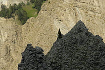 Aiguille pass, Chichiliane, Parc naturel régional du Vercors, Alps, France