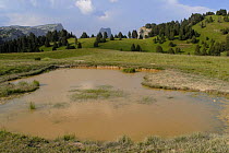 Pond in pasture landscape, Aiguille pass, Parc naturel régional du Vercors, Alps, France