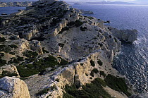 Coastline at Pomègues isle, Frioul archipelago, Marseille, France