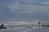 Surf casting / fishing on the coast during stormy seas, Camargue, France