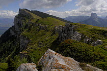 Peak of Baconnet, Gresse en Vercors, Parc naturel régional du Vercors, Alps, France