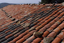 Typical architecture of roofs in the south of France, Parc naturel régional du Pilat, France
