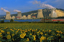 Train passing electricity power station with field of Sunflowers in foreground, Rhone valley, France. July 2005