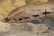 Cowboys herding horses {Equus caballus} along the Painted Hills, Flitner Ranch, Shell, Wyoming, USA
