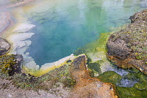 Thermal pool, Rabbit Creek, Yellowstone National Park, Wyoming, USA