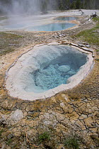 Thermal pool, Rabbit Creek, Yellowstone National Park, Wyoming, USA