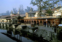 Pashupatinath hindu temple complex, Kathmandu, Nepal