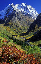 Dombai-Ulgen Mt. (4042m), the highest peak of W Caucasus mountains, and Dombai-Ulgen river, Teberdinskiy Zapovednik / Reserve, Karachayevo Chekessiya, Russia, October.