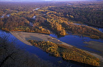 Aerial view of river Birkin, right tributary of Ussuri River, with virgin riparian forest, North Ussuriland, Primorsky, Siberia, far east Russia