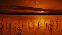 Sunset over Lake Khanka, at the border with China, Khankayskiy Zapovednik / Reserve, Ussuriland, Primorsky, SE Siberia, far east Russia