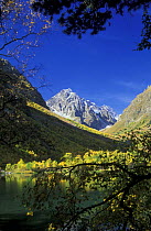 Boduki lake, Teberdinskiy Zapovednik / Reserve, West Caucasus mountains, Karachayeco Cherkessiya, Russia