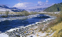 River Alash, foothills in Western Sayan Range, first snow in the end of October 2001, Southern Siberia, Tuva, Russia