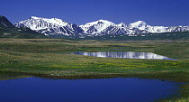 Kalguty-Akkol elevated (1500 m) steppe valley at south edge of Plateau Ukok in mid of June, Altai Mountains, SE Russia, To the left - South Altai Ridge, separating Russia from China.