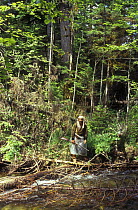Local hunter in the taiga forest, Ussuriland, Primorsky, SE Siberia, far east Russia 1995