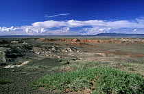 White and red cliffs of Naran-Bulak (Eocene fossil mammal site) with Altan-Ula mount (dinosaur site) in the distance, Gobi desert, Mongolia