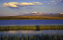 Dzhulukul lake to Mongun-taiga Mt, Tuva Republic. Altayskiy Zapovednik reserve, Altai Mountains, Siberia, Russia