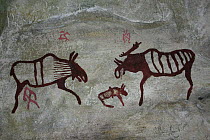 Rock paintings of Moose /  Elk from ancient site at Lena River shore, Yakutia, Siberia, Russia