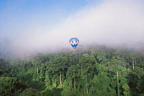 The 'Cinebulle' hot air balloon flying above early morning mist canopy of lowland Dipterocarp rainforest, Danum valley, Sabah, Borneo, Malaysia, 2002