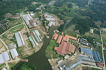 Aerial view of Timber mill and logging camp with huge logs from lowland Dipterocarp trees clearly visible, Sabah, Borneo, Malaysia, 2005